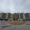 The 산수유 이미지