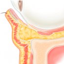 벨르몬성형외과의원 이미지