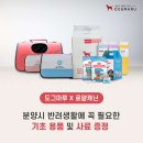 도그마루 강아지고양이 안산점 이미지