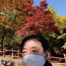 도덕산공원 이미지