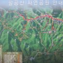 팔공산갈매기