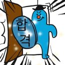 헤일로92 이미지