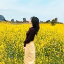 아롬타롬 | 해녀밥상,제주 에어비앤비 추천 아롬타롬 하우스