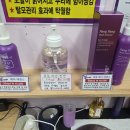 헤어사랑 | 제주 큐사랑 소피아헤어스토리 후기｜깔끔한 매장 인테리어와 모발영양 관리