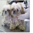 3.5당구장 이미지