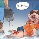 박나래 아침마당 출연설.. 이미지