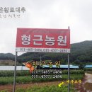 형근농장 이미지