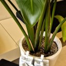 주식회사 장금이 농업회사법인 이미지