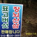 삼삼농장 Daum카페