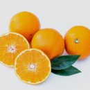 필라테스 귤 이미지