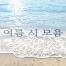 초 여름 시 모음 이미지
