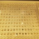 안경바라기 이미지