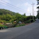 조비마을회관 이미지