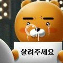 유상증자 여파에 시외에서 폭락한 포스코퓨처엠 이미지