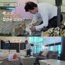 개밥주는 남자 이미지