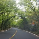 하례2리경로당 이미지