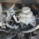 뉴인제카 이미지