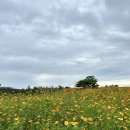 신화역사공원입구1 1 이미지