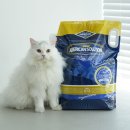 아로펫 | 아메리칸솔루션 그랜드마스터 고양이모래 12.6kg 최저가로 사는 법 (feat. 56% 할인)