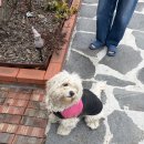 느린스테이 | 대전근교 청주펜션 6명숙소 느린스테이