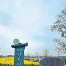 고창읍성패러글라이딩 이미지