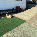 남해쭈꾸미와장어구이 | 남해 여행하다 찾은 남해현지인맛집, [스포츠가든 장어] 점심 방문기