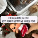 누리산업 | 인천 누리플러스 후기 인기 캐릭터 몬치치 등 도매급 가격