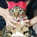 버블맨24시 이미지