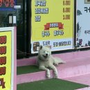 영도얼음집