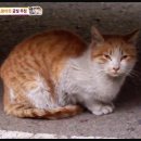 김문자농장 티스토리