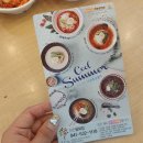 국수나무 용화점 이미지