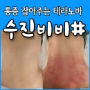 수진비비#