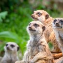 서초동 가정법원 이미지