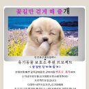 꽃길만 걷게 해줄'개' 이미지