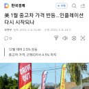 미국 1월 중고차가격 다시 반등 이미지