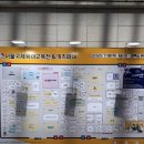 유아가베 | 2025 코엑스 서울국제유아교육전 정보&amp; 다미댁 가베가족 교구 강연 후기