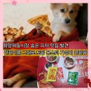 건대 토핑몬스터피자 야채테리언 아직못간 하와이안 반반피자 가성비좋은 야식 내돈내산 후기