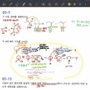 Ch.4 05-9 이미지