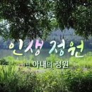 [KBS 다큐인사이트 ‘인생정원 - 아내의 정원’ ] 오산시 서랑호숫가 시크릿 가든…안홍선씨의 들꽃정원 이미지