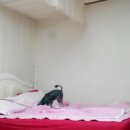 중랑초등학교 이미지