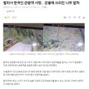 발리서 한국인 관광객 사망…강풍에 쓰러진 나무 덮쳐 이미지