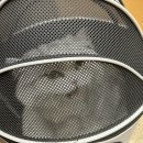 도래동물병원 이미지