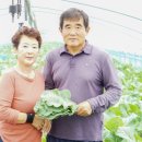 금반농장 이미지