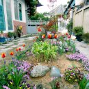 사랑채 민박 이미지