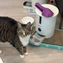 예은동물의료센터 이미지