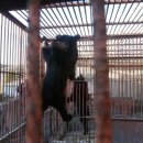 웅담농장 이미지