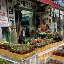 생활용품 디씨마트(DC)