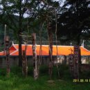 잠곡초등학교 이미지