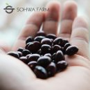 양대농장 이미지