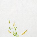 송현동성당